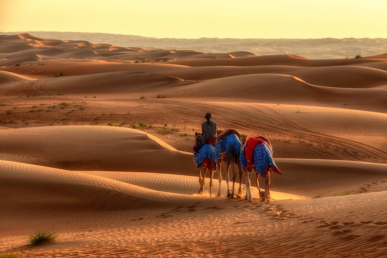 , Усманов Рашид