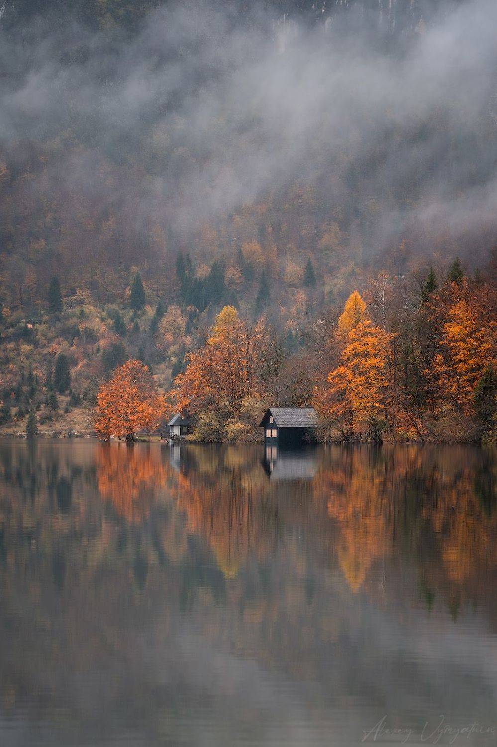 slovenia, outdoor, autumn, fog, white, mountains, trees, travel, topview, Алексей Вымятнин
