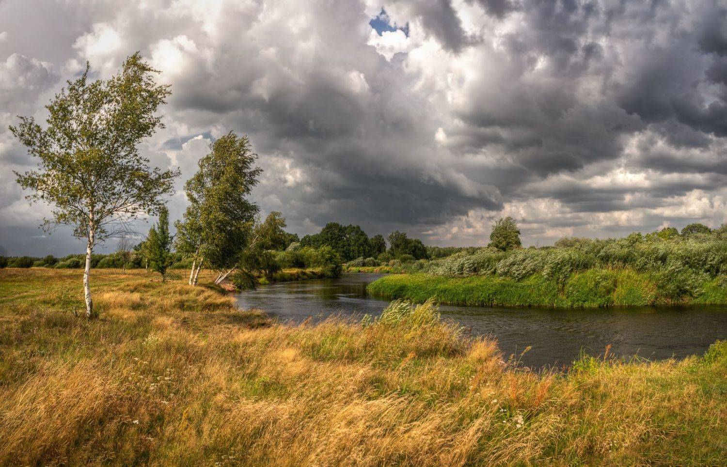 река, тучи, березы,, Сергей Шабуневич