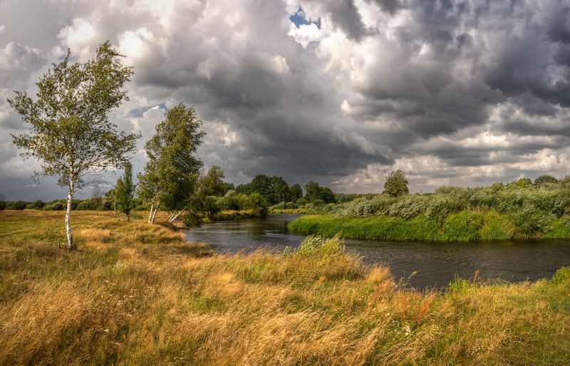 река, тучи, березы, Перед дождем фото превью