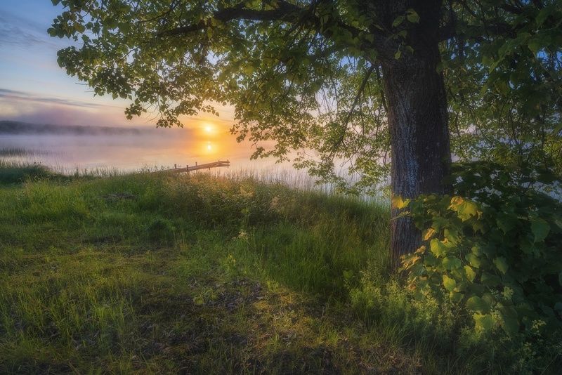 В свете восходящего солнца фото превью