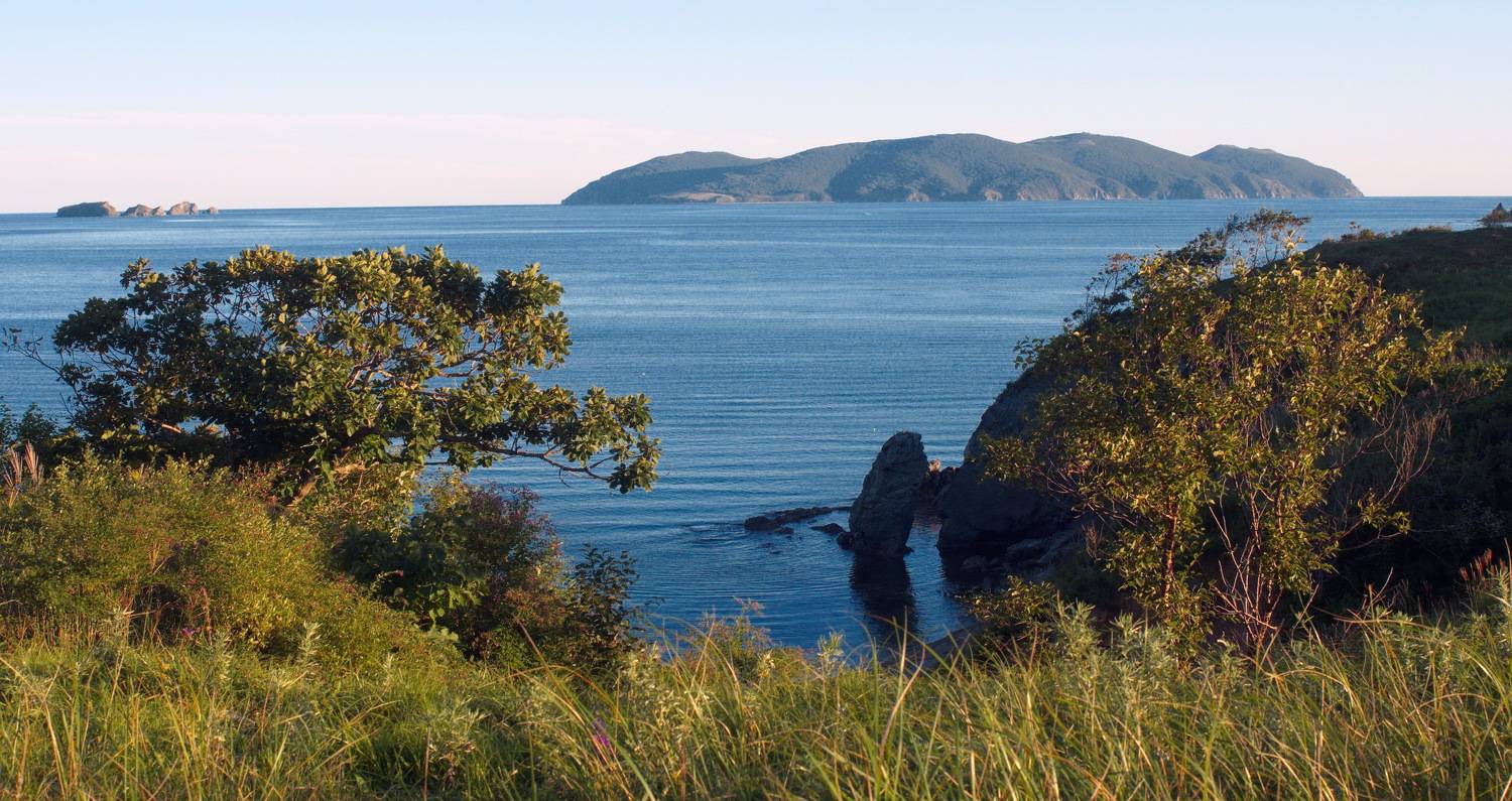 Приморский край, Сысоева, Аскольд, Чернышев Валерий