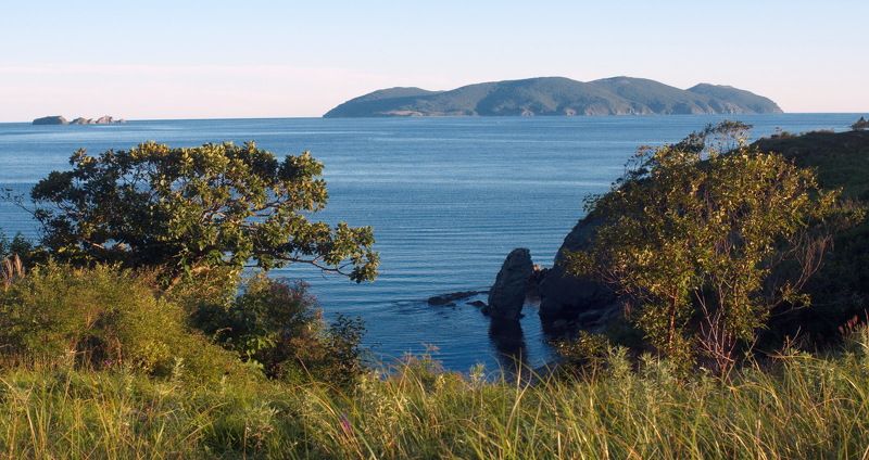 Приморский край, Сысоева, Аскольд Вид на о. Аскольд фото превью