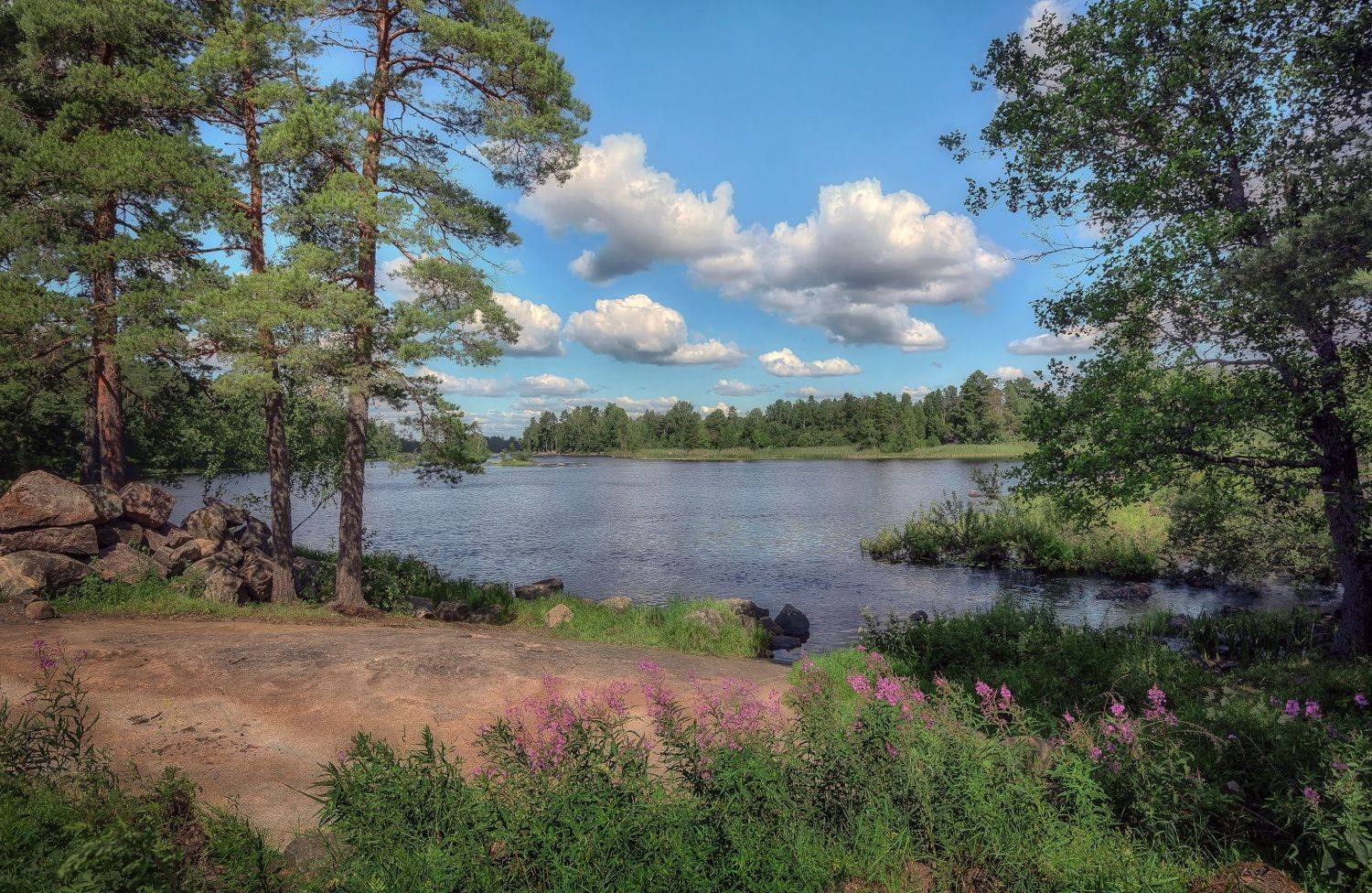 лес, река, камни, Сергей Аникин
