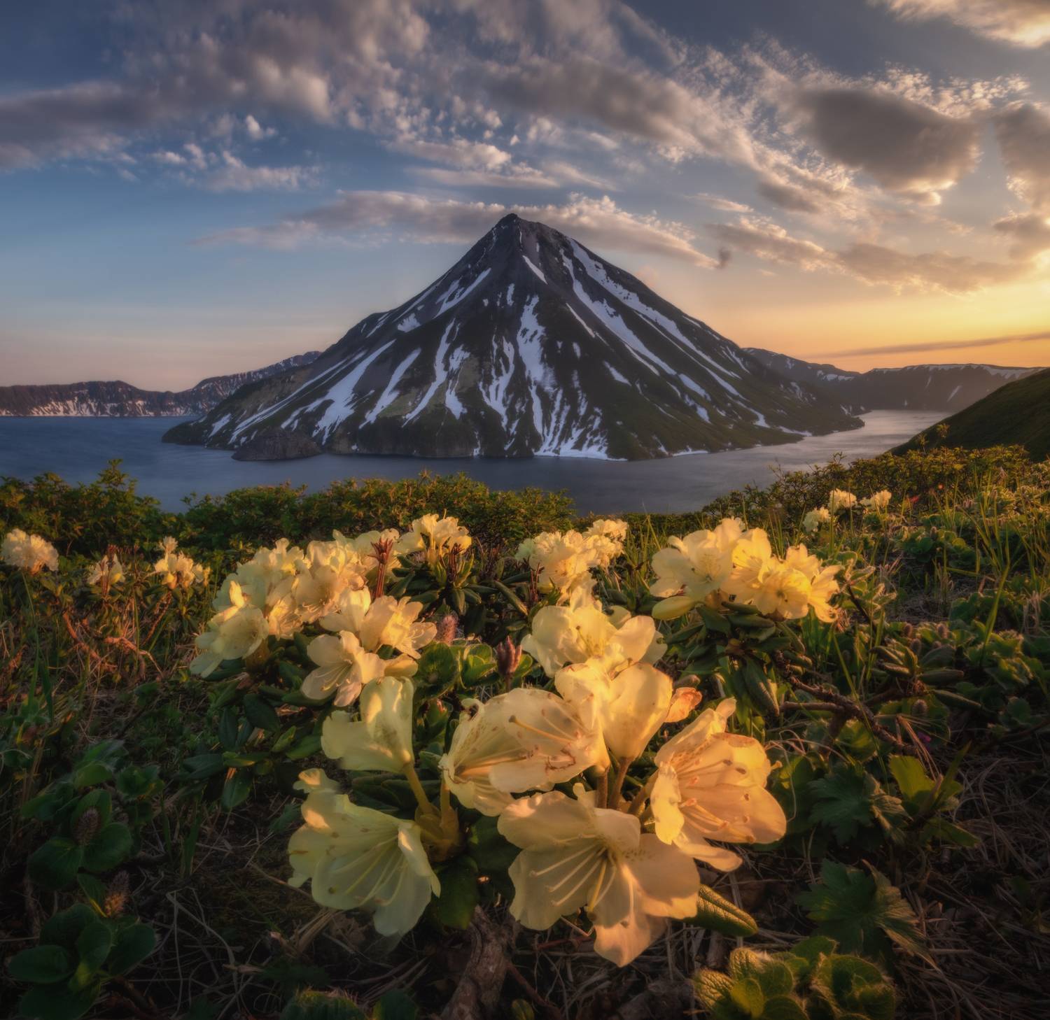 курилы, Андрей Грачев