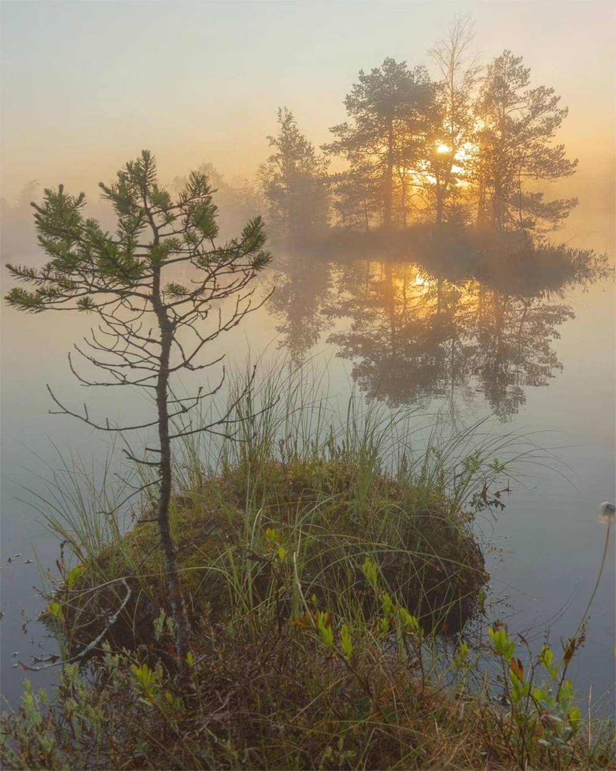 , Петр Косых