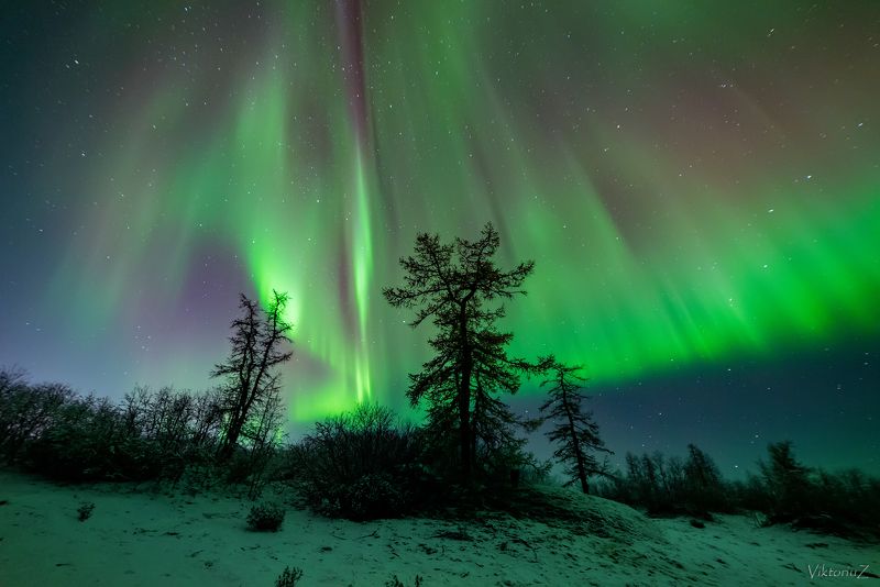северное сияние, полярное сияние, заполярье, aurora borealis, polar lights  фото превью