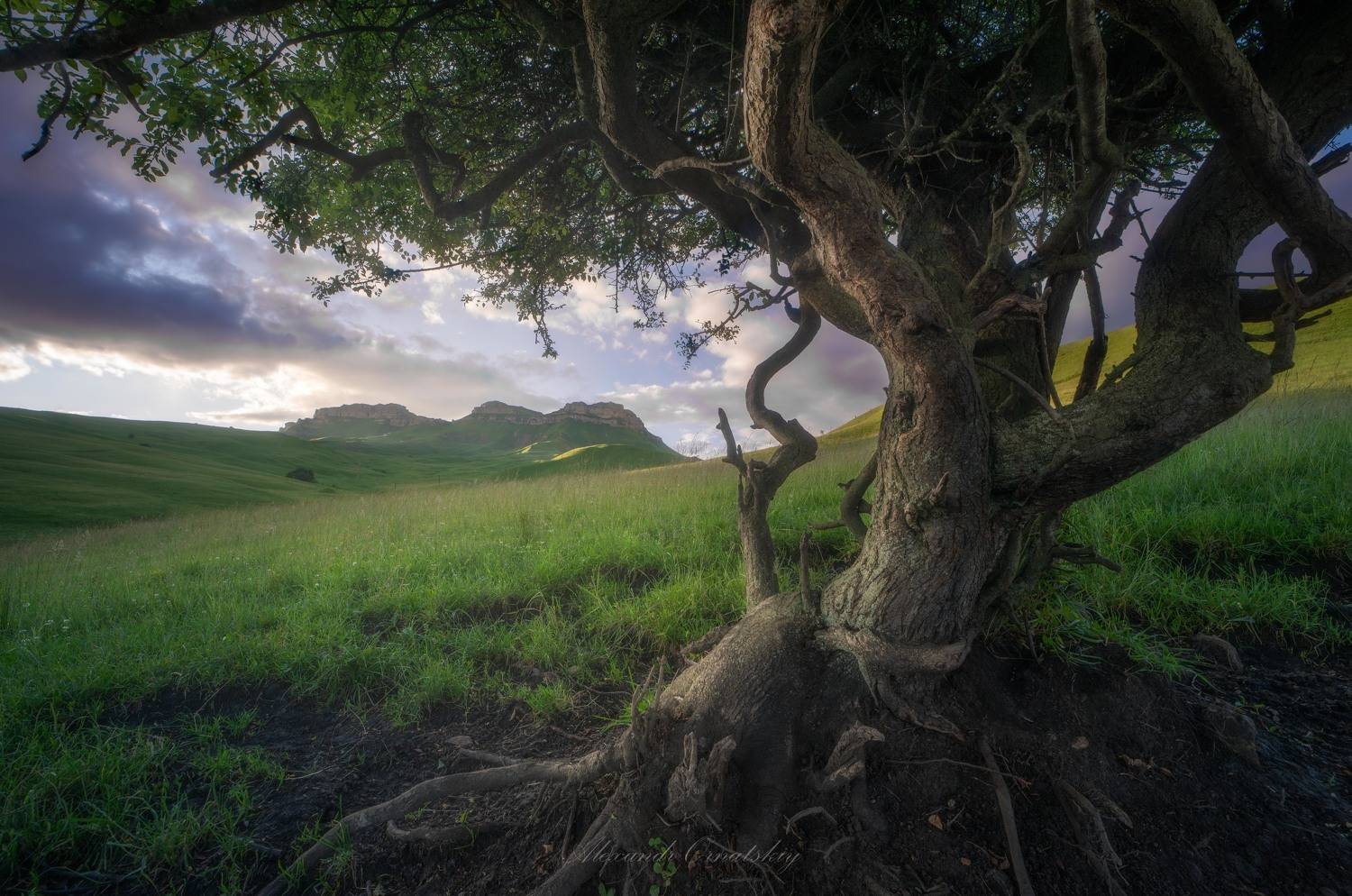 , Орнатский Александр