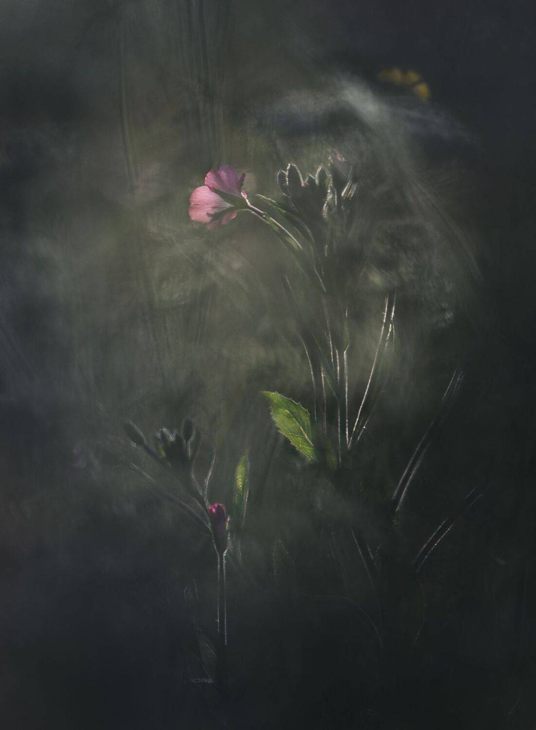 , Баранов Олег