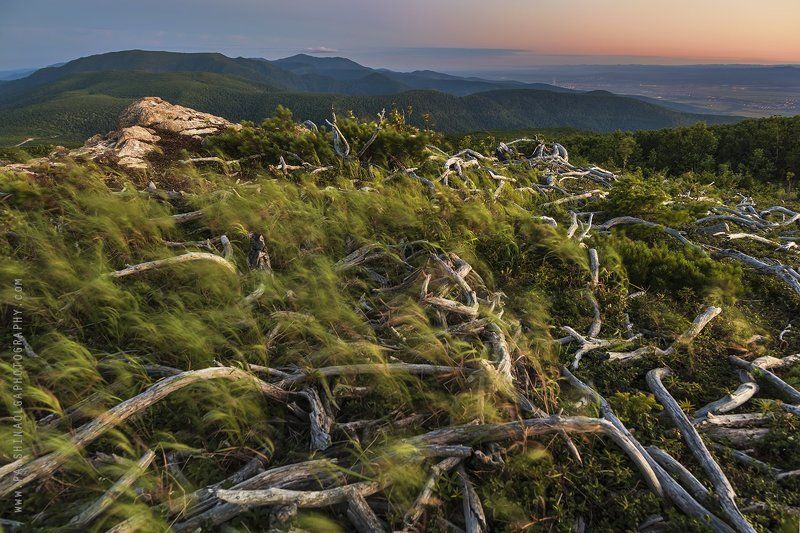 Сахалин, остров, Россия, путешествия, закат, на вершине, машина, джип, красота, природа, смотровая, sunset, nature, Russia, Sakhalin, island, at the top, viewpoint *** фото превью