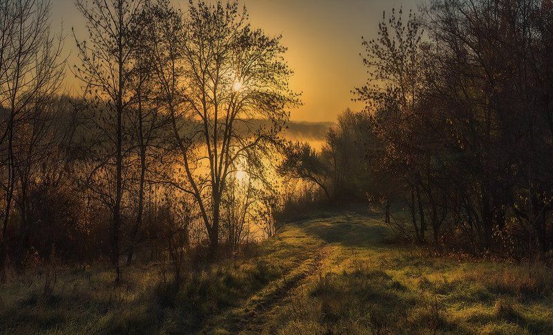 Музыка тишины и света (репост) фото превью