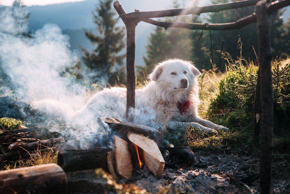 , Ярослав Тюрменко (Jaremi)