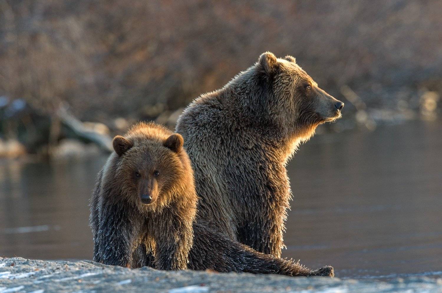 , Сергей Иванов