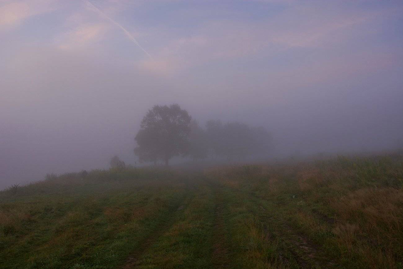 , Руслан Сигушин