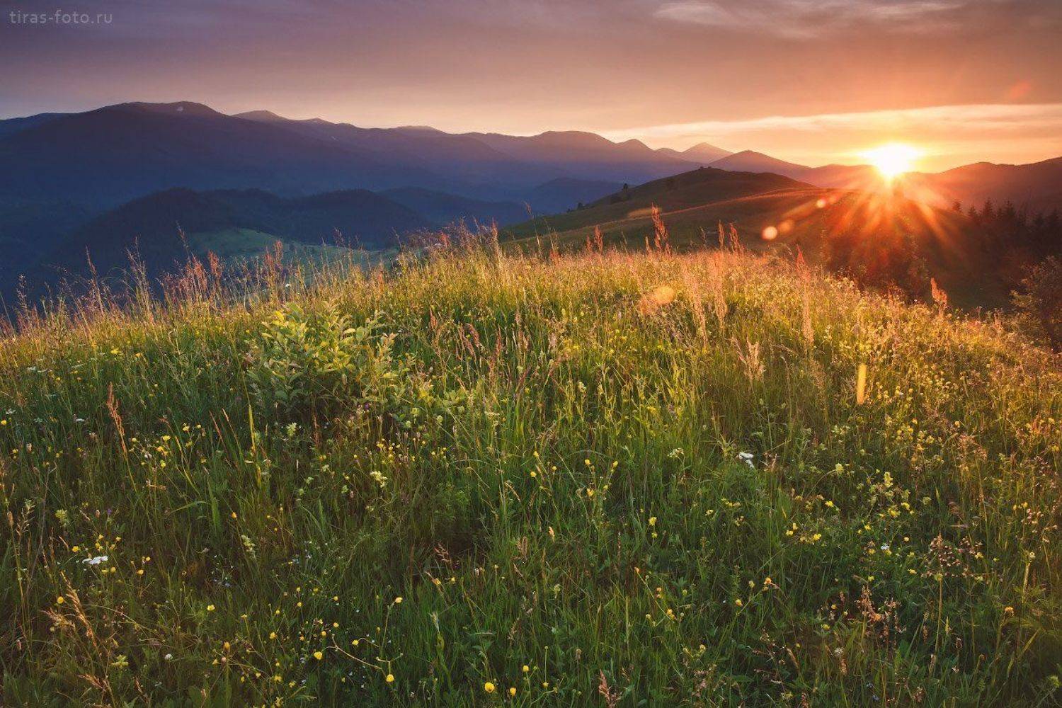 Карпаты, горы, закат, лето, Петренко Алёна