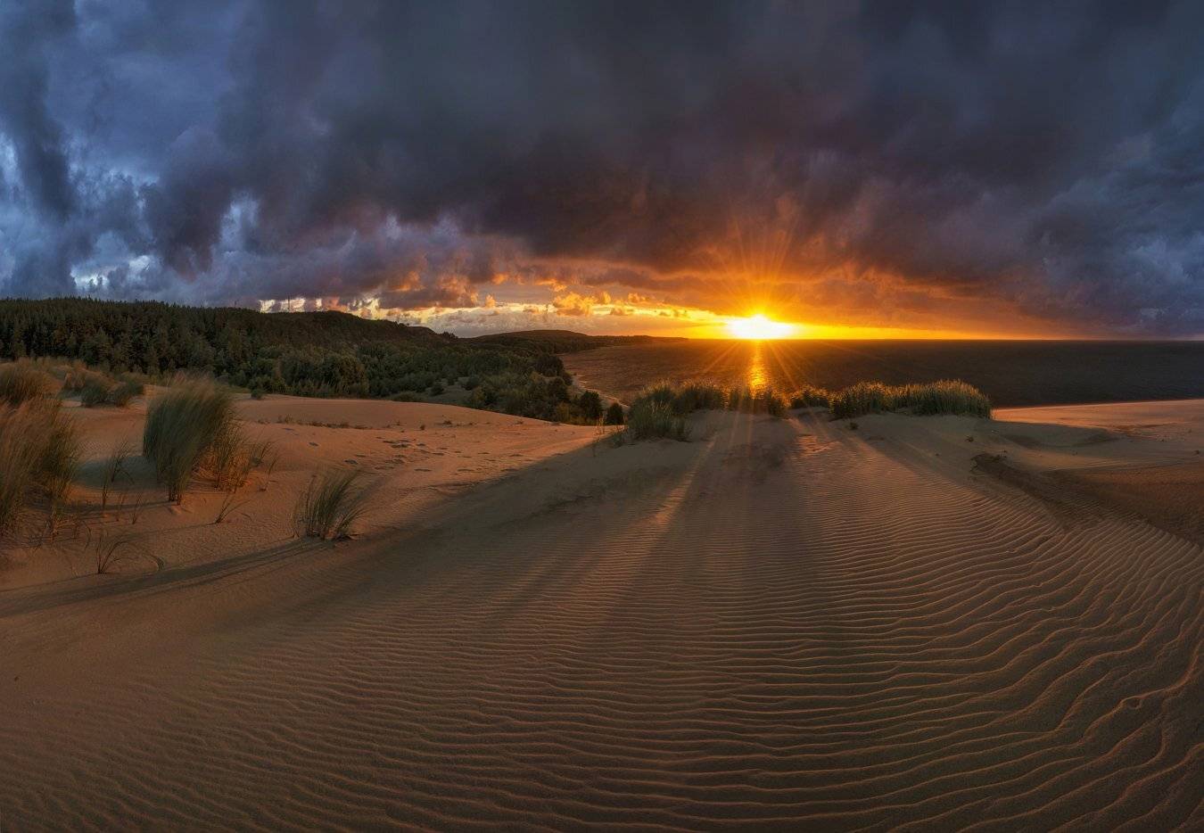 Балтика, Калининградская область, Куршская коса, Андрей Грачев