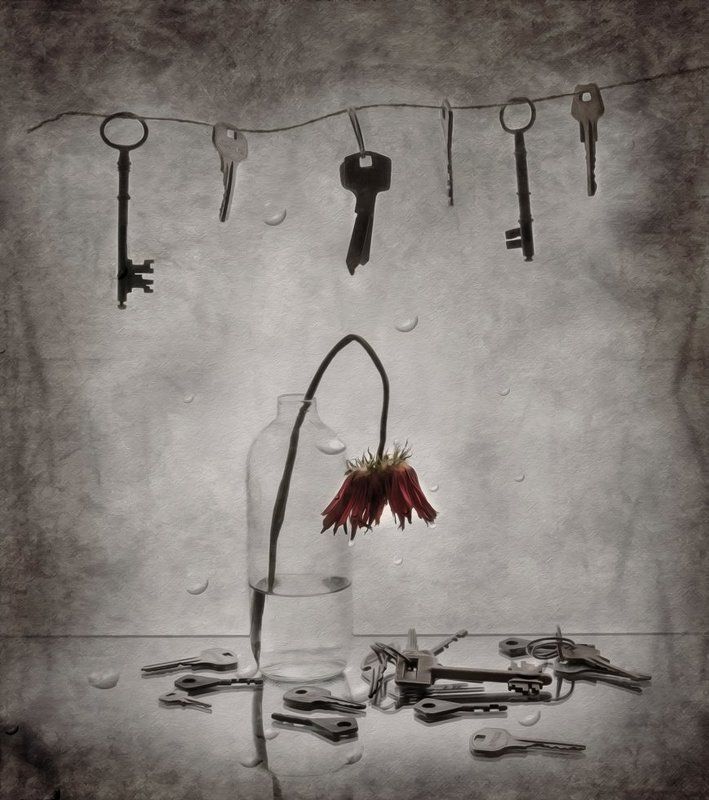 *** фото превью