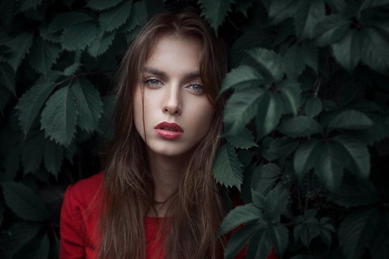 Eartus, Девушка, Портрет, Федотов *** фото превью
