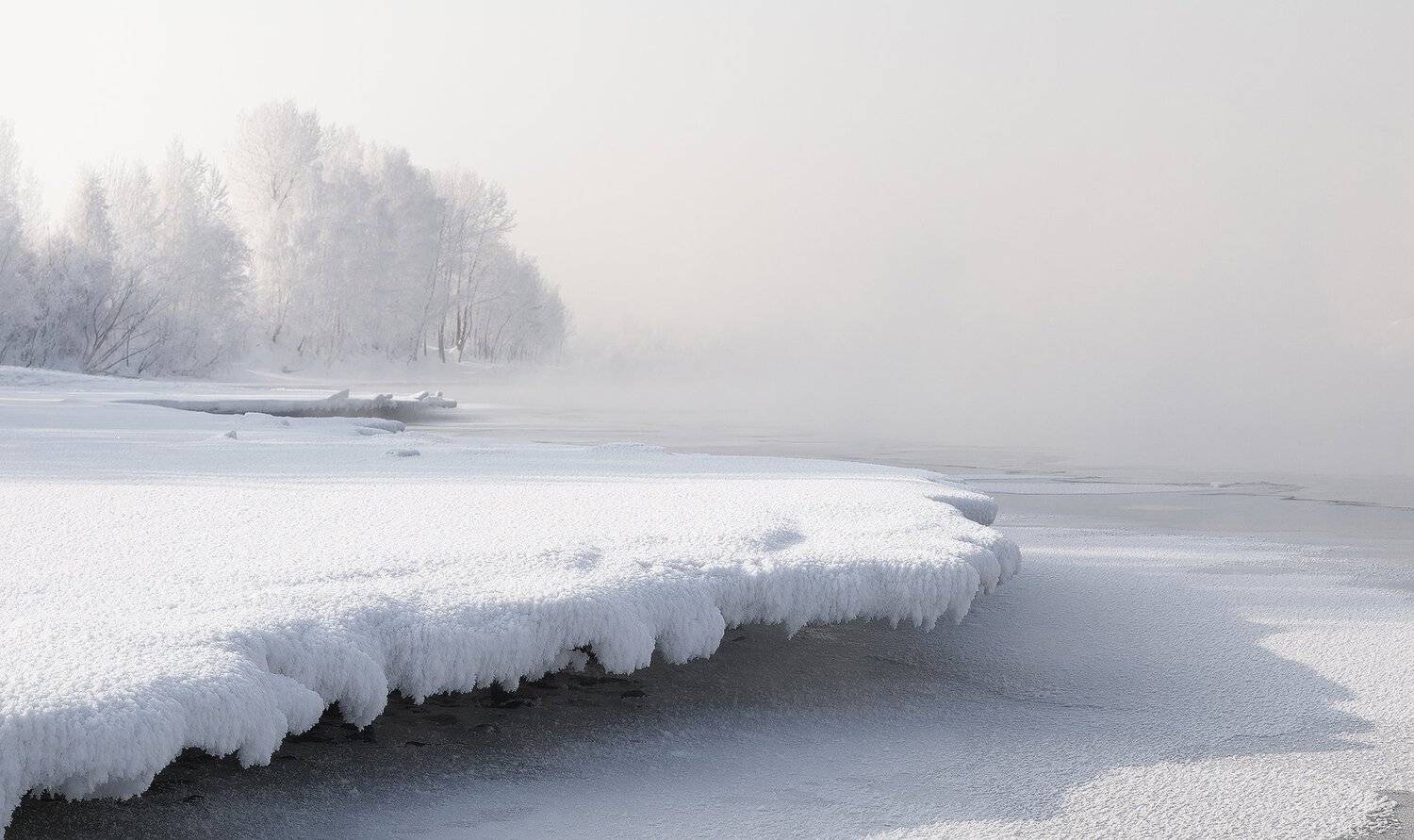 , Лещёнок Александр