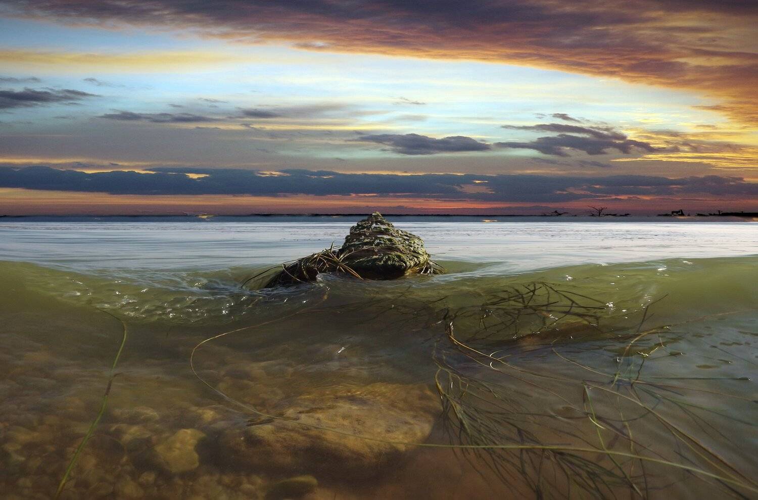 одесса, Сергей Кошелев