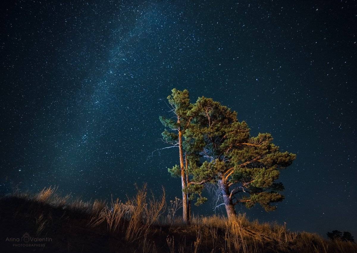 , Ратушнова-Осинцева Арина