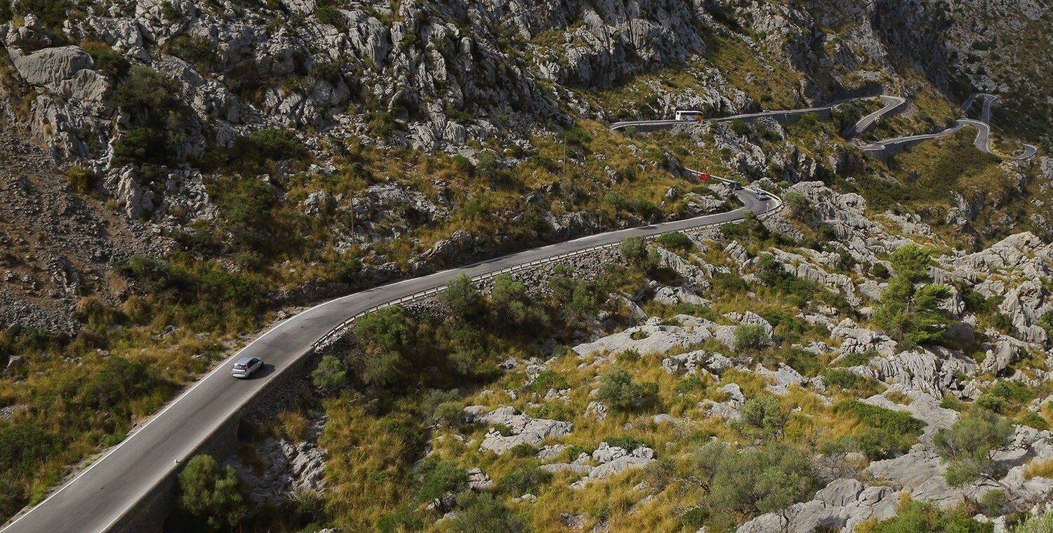 , Игорь Дубровский