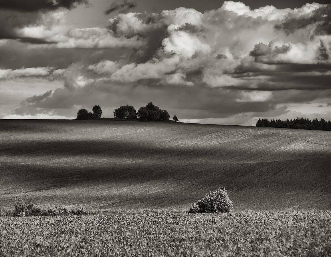 , Владимир Перепечаев
