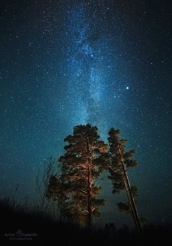 Ночное небо Восточного Казахстана фото превью