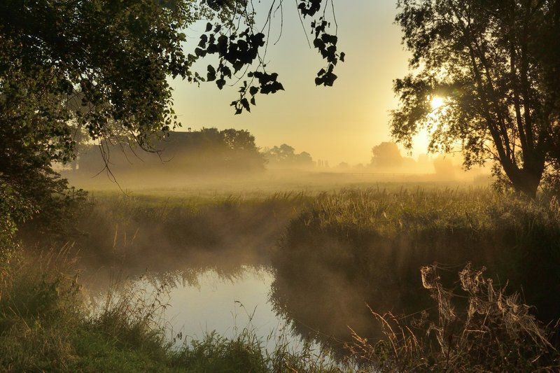 The beginning of a beautiful day. фото превью