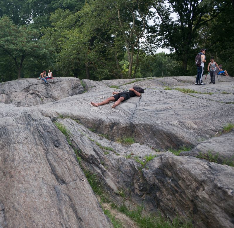 nature morte фото превью