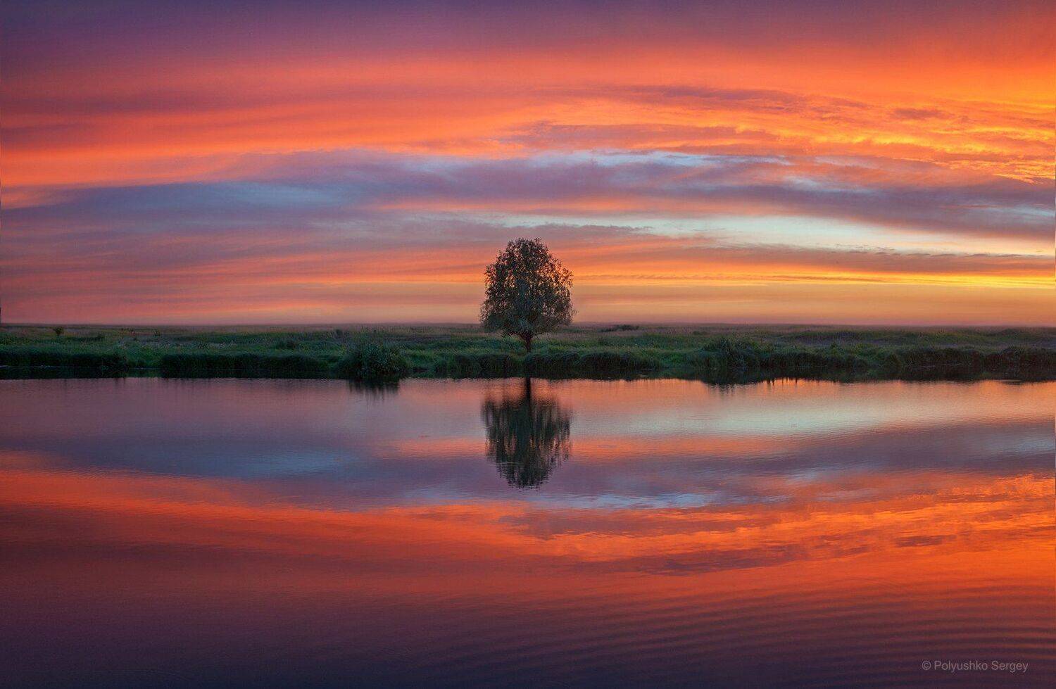 , Полюшко Сергей