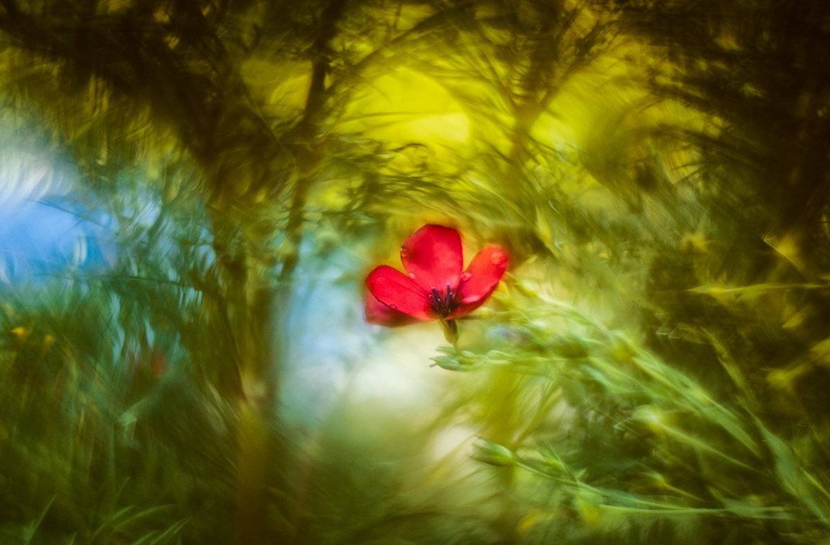 , Татьяна Аверина