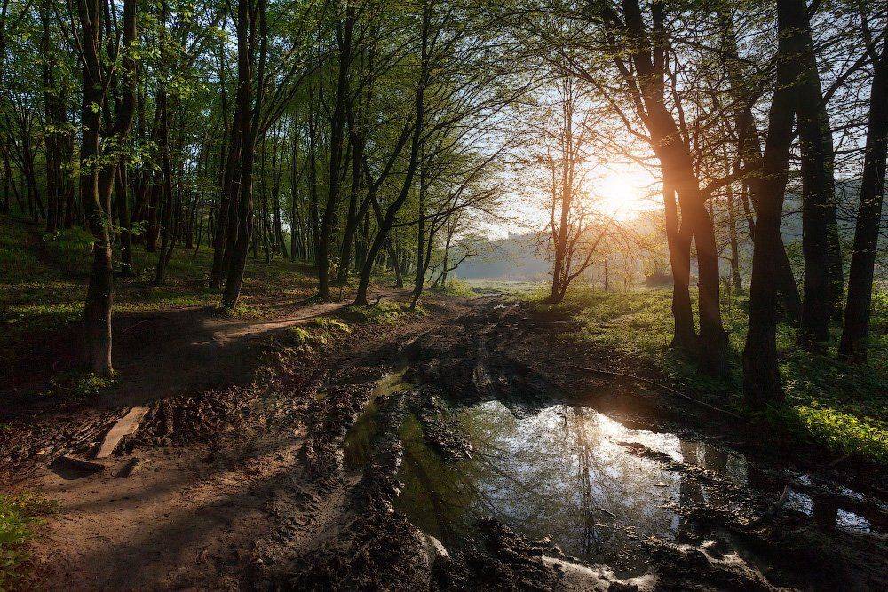 , Ярослав Тюрменко (Jaremi)