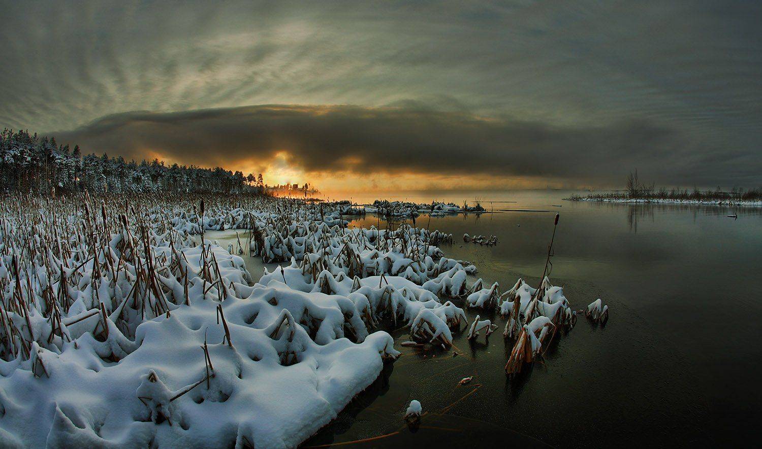 , Борис Полозков