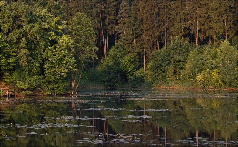 тишь...да благодать фото превью