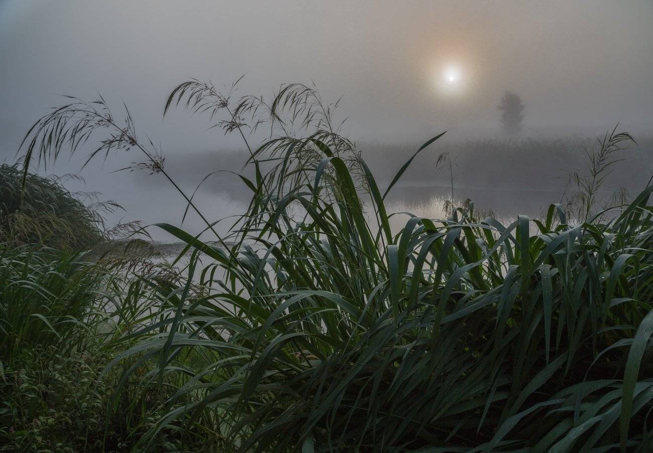 , Александр Бредихин