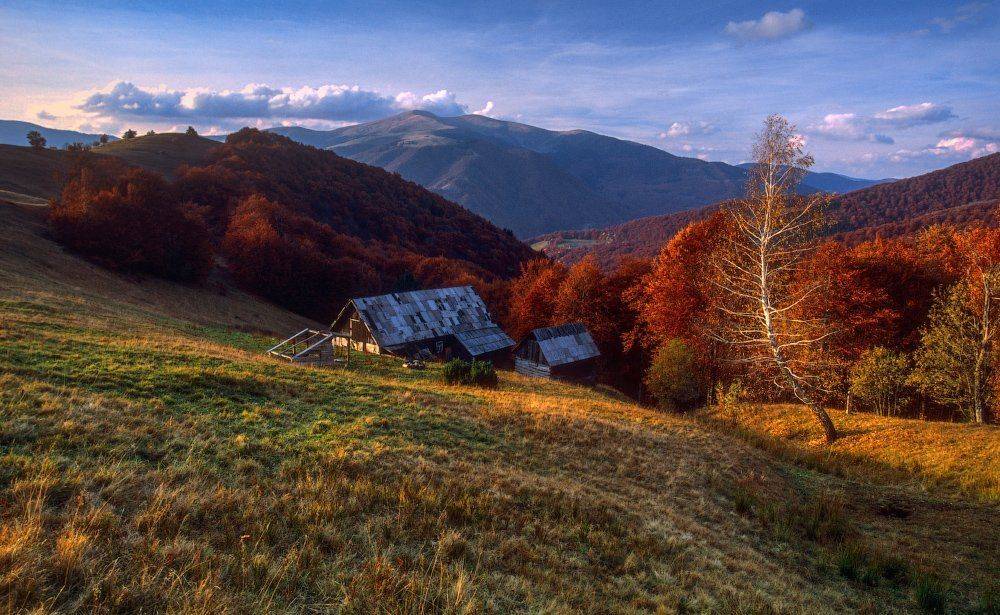 , Ярослав Тюрменко (Jaremi)