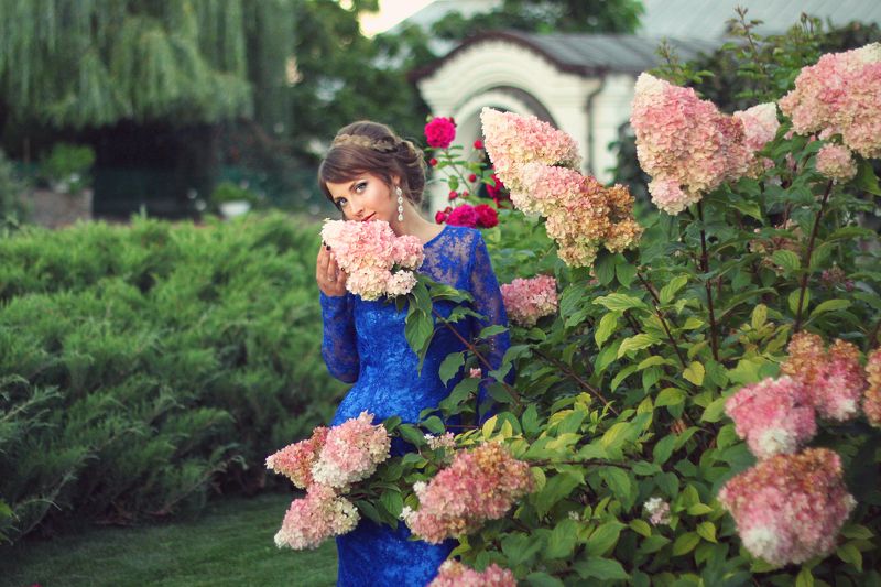 Evening flower фото превью