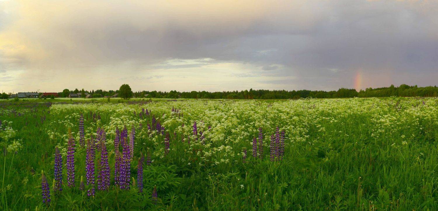 , Евгений Морозов