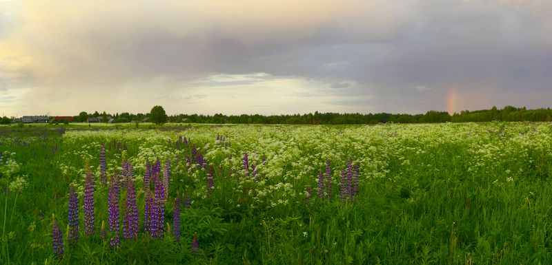 После дождя фото превью