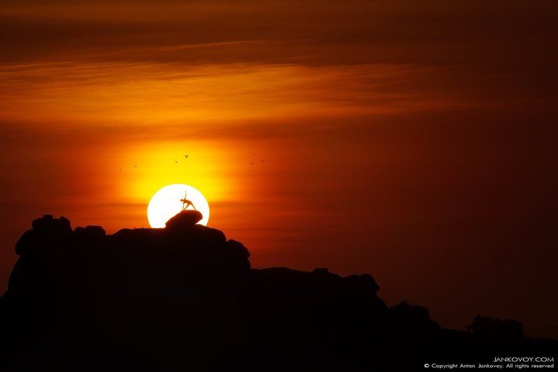 AGNI YOGA фото превью