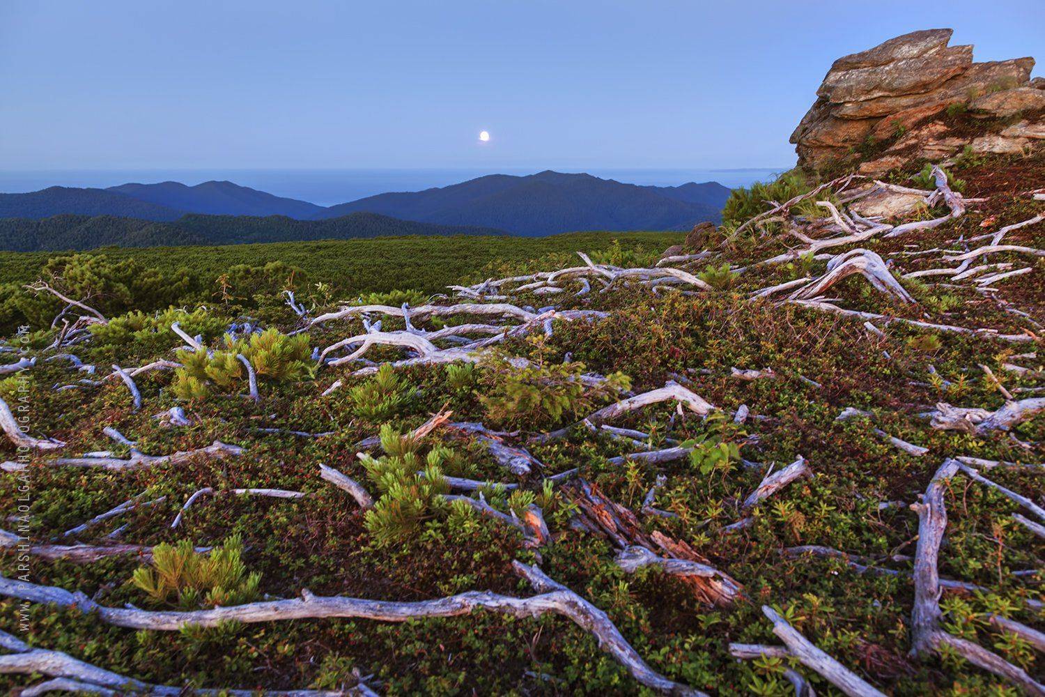 Сахалин, остров, Россия, путешествия, закат, на вершине, машина, джип, красота, природа, смотровая, sunset, nature, Russia, Sakhalin, island, at the top, viewpoint, moon, Ольга Паршина