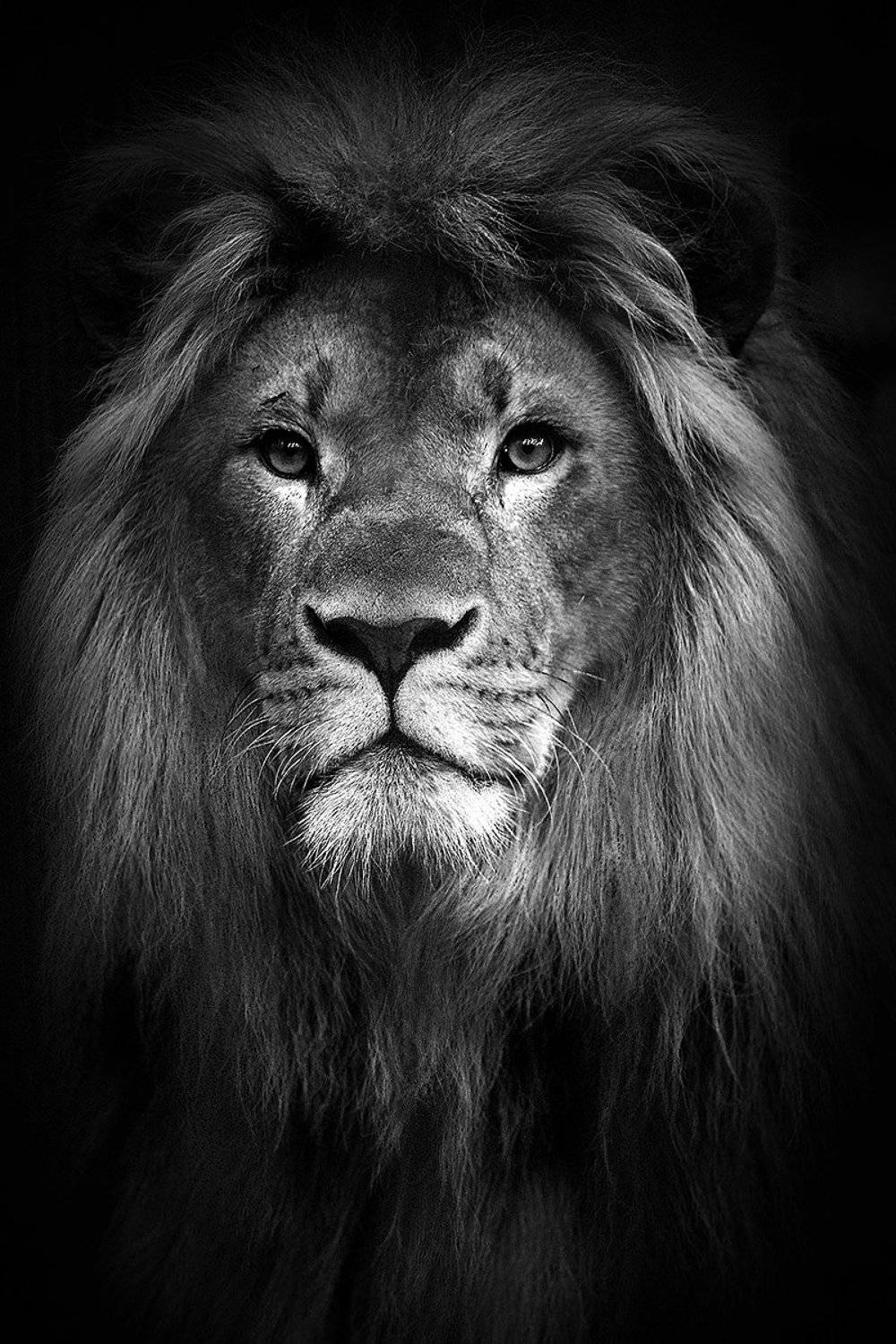 , Алексей Родак