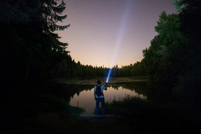 лес, лобня, озеро, подмосковье В Лобненском лесопарке. фото превью