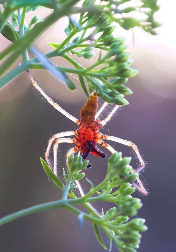 , Александр Журавлёв