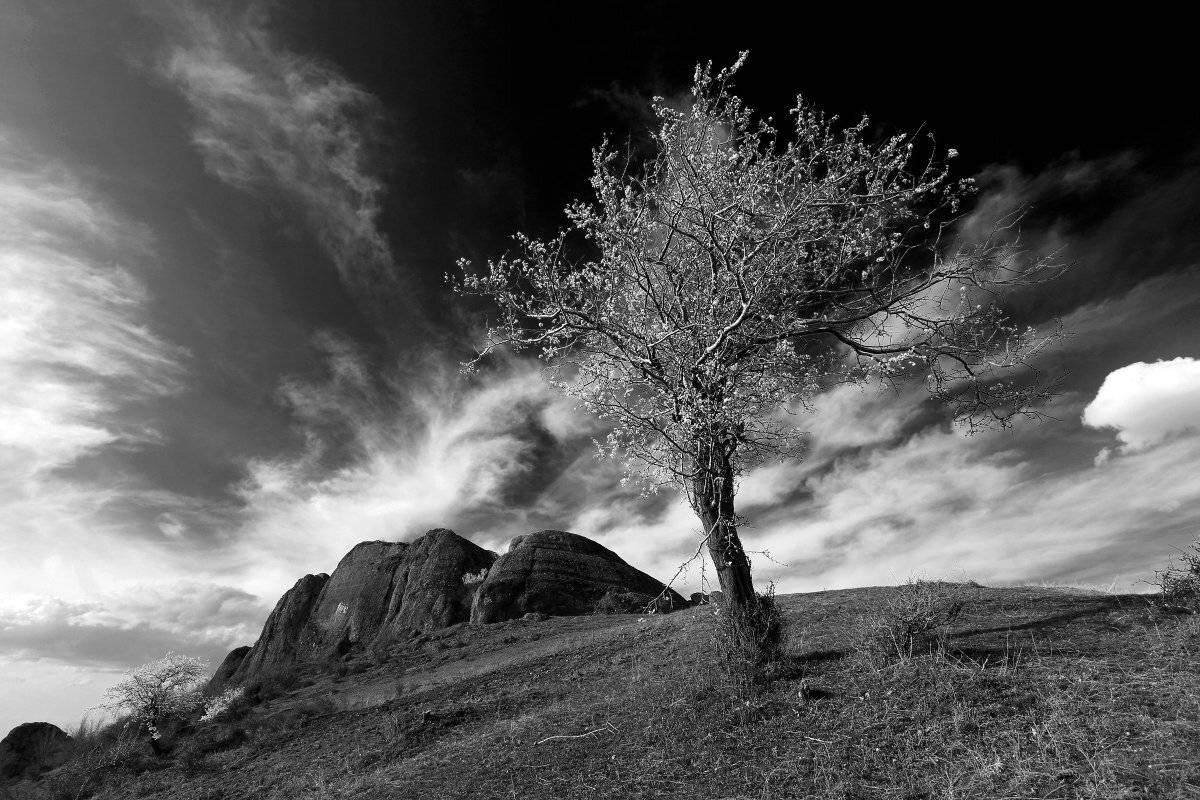 Bulgaria, Clouds, Spring, Tree, Александър Сандев