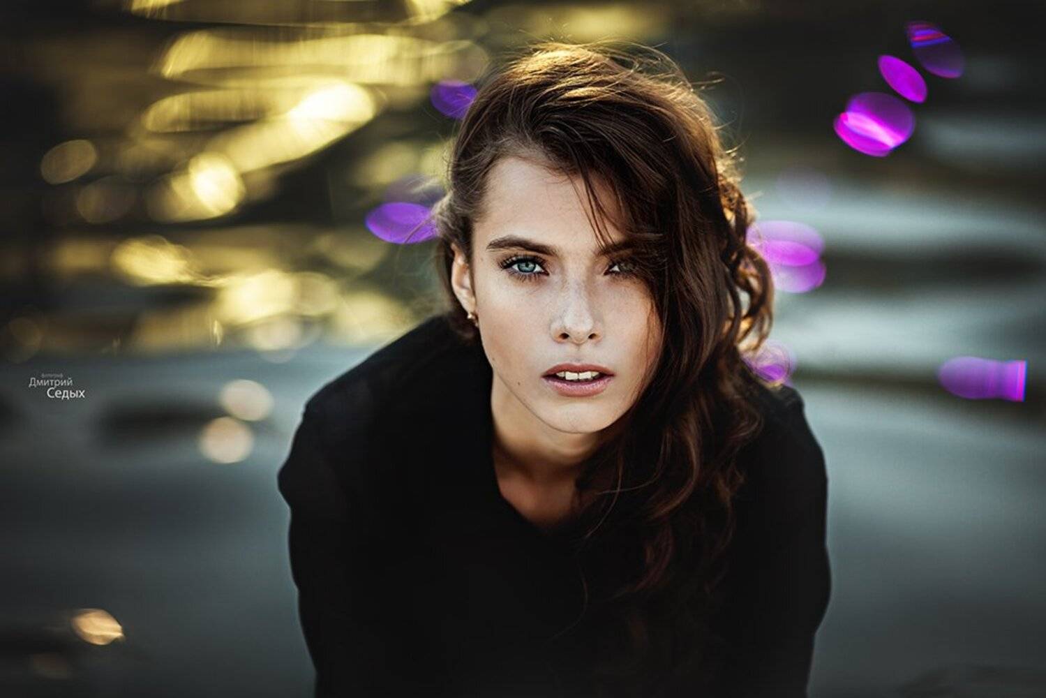 , Седых Дмитрий