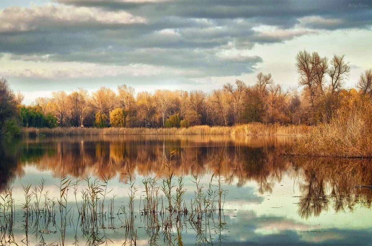 , Роман Красов