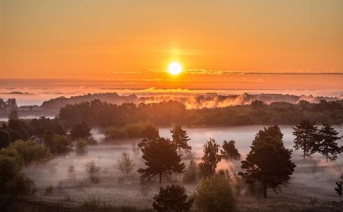 Рассвет под Муромом