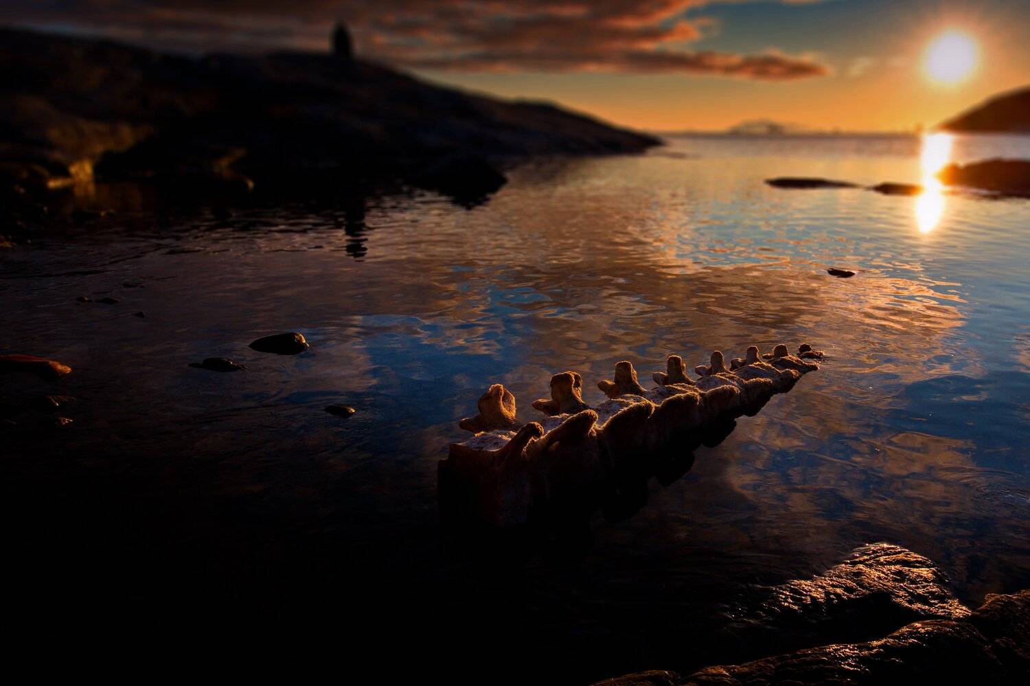 , Александр Перов